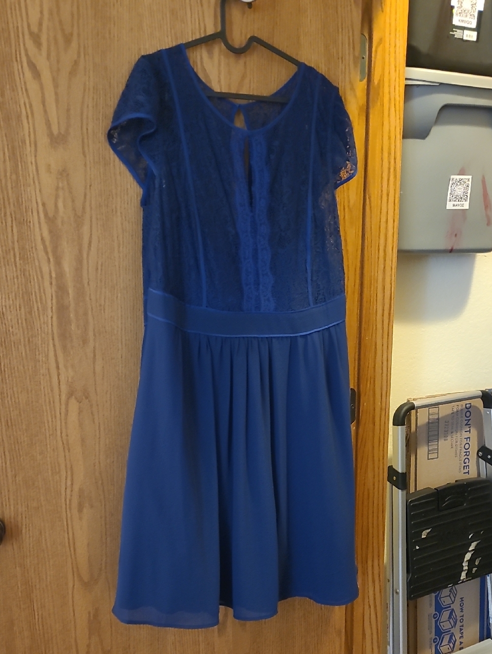 City Chic Blue Lace & Chiffon Women's Dress